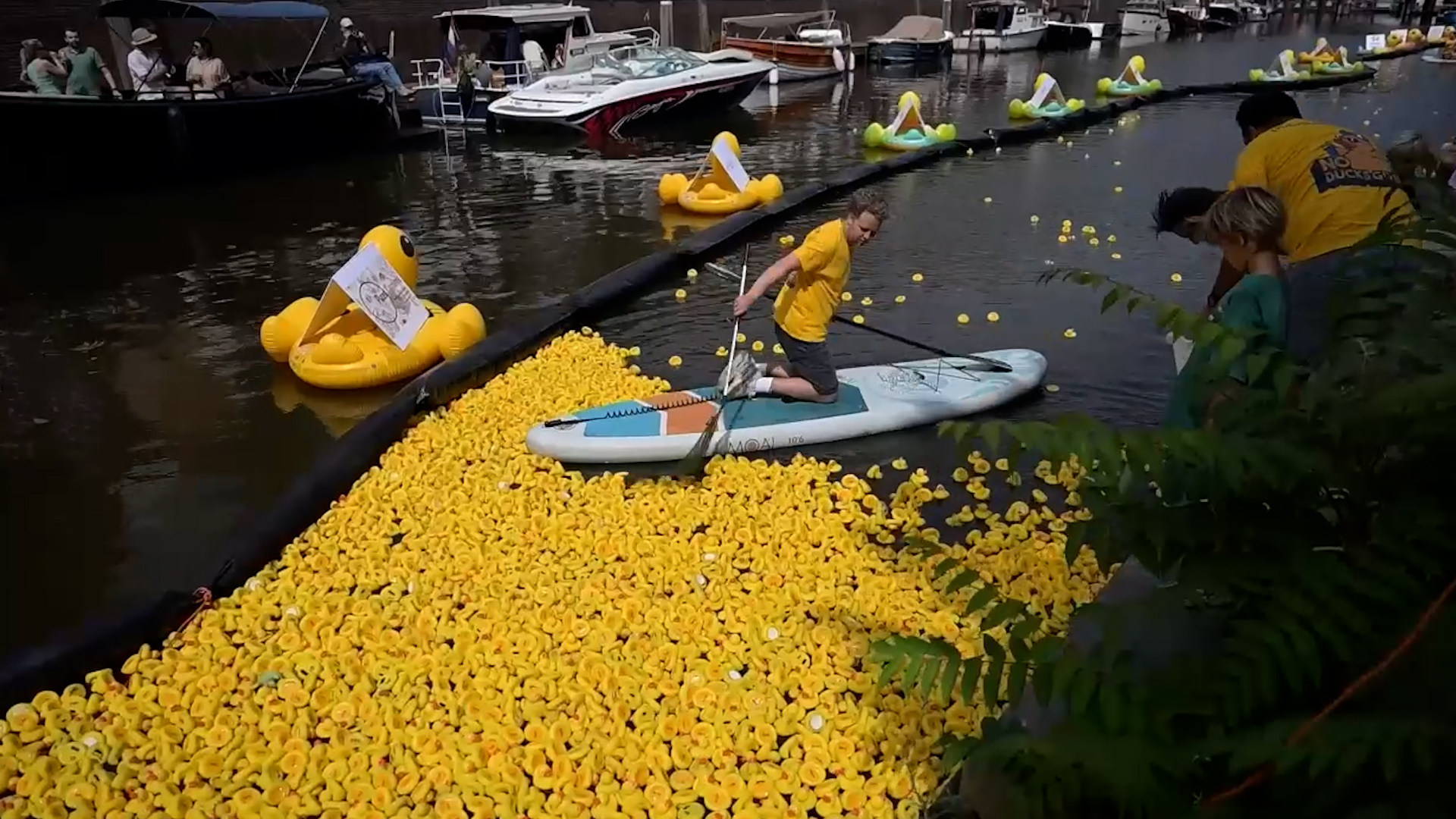 ¡Una marea amarilla! Miles de patitos de goma invaden un puerto para ayudar a niños