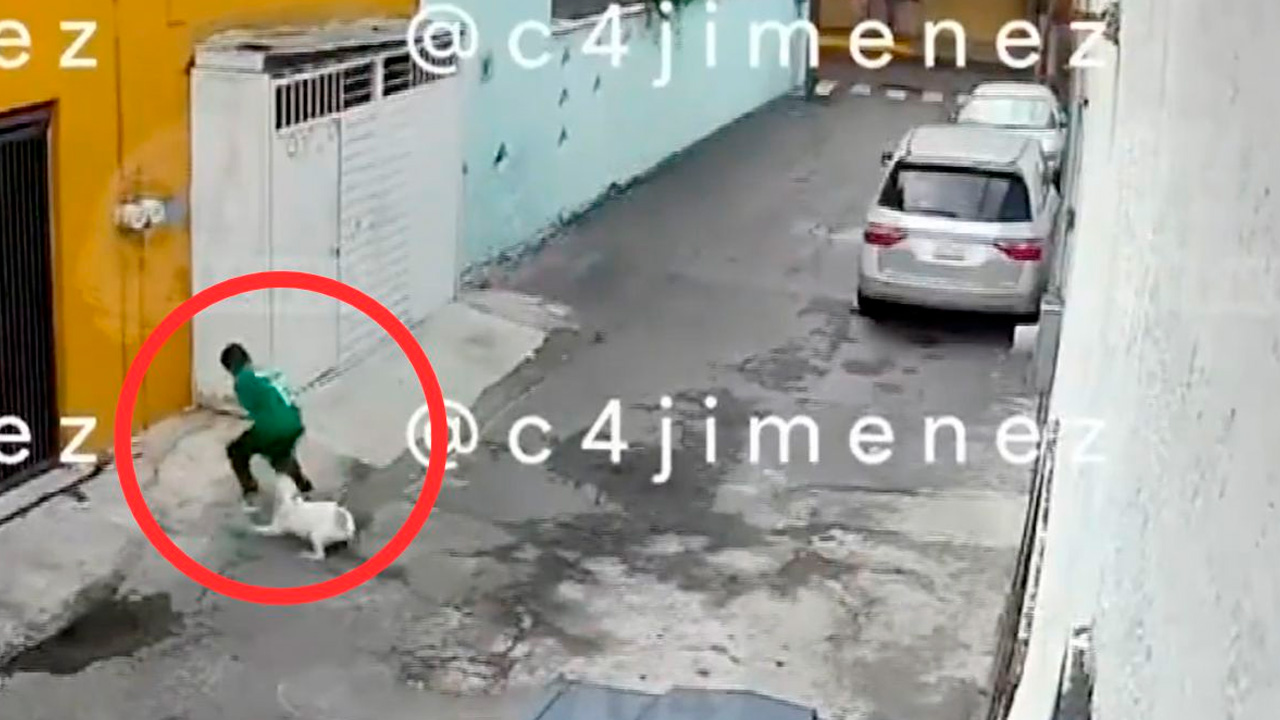 Perro ataca a niño de 11 años y le provoca graves lesiones en Iztapalapa; vecinos exigen sanción