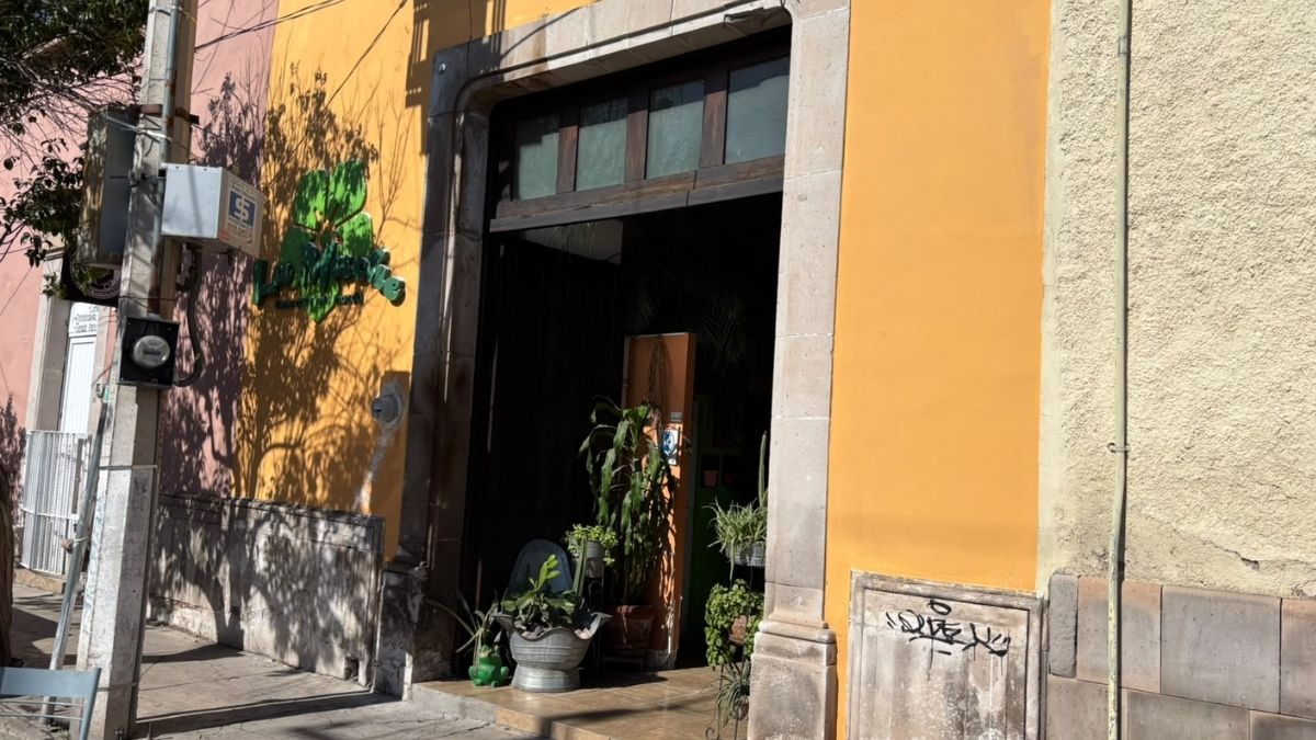 Los afectados denunciaron la aparente falta de vigilancia policial en la zona, a pesar de la cercanía con oficinas gubernamentales y bares.