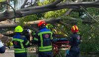 Cuerpos de rescate se movilizaron hasta la zona del incidente. | Protección Civil del Municipio de Querétaro