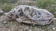 Honer recrea la fantasía de ver dinosaurios en Coahuila al transformar dos rocas masivas en un cráneo de T-Rex que emerge del sendero