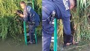 Policías rescatan a dos perros que no podían salir de un canal en Tlajomulco | Policía de Tlajomulco