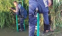 Policías rescatan a dos perros que no podían salir de un canal en Tlajomulco | Policía de Tlajomulco