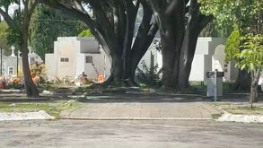 Bomberos y paramédicos trabajaron coordinadamente en el Panteón de Mezquitán para extraer a un hombre que cayó accidentalmente en una cripta