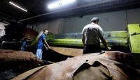 En México se tiene un aproximado de 750 tenerías, de las cuales alrededor de 720 están en León.