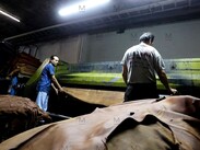 En México se tiene un aproximado de 750 tenerías, de las cuales alrededor de 720 están en León.