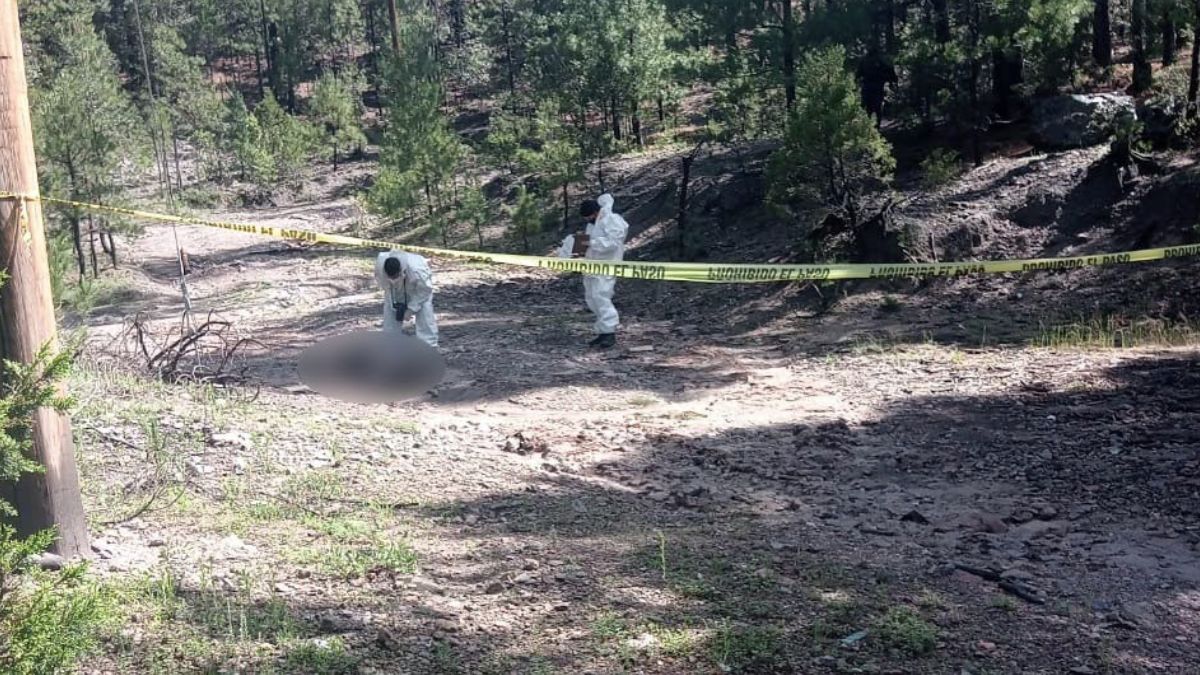 Será mediante los estudios forenses que se busque establecer la causa y el tiempo aproximado de muerte.
