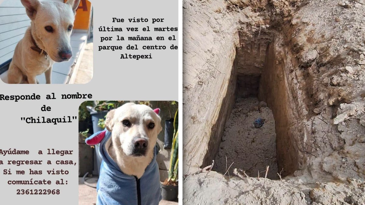 La negativa del municipio para atender el caso motivó a la Fiscalía de Puebla a levantar los cuerpos hallados / Especial