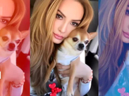 Patricia Navidad se despide de su perrito con emotivo mensaje