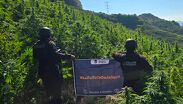 El predio estaba ubicado en el municipio de Tequila en la delegación del El Salvador | Secretaría de Seguridad del Estado de Jalisco