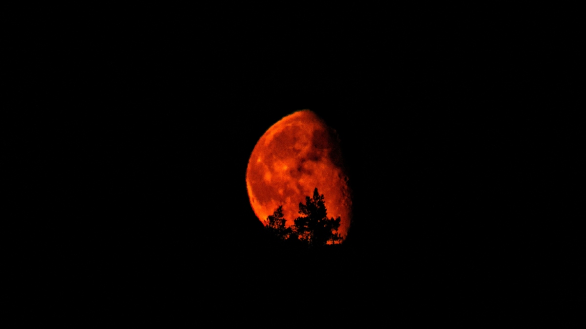 México podrá ser testigo de la famosa 'Luna de Sangre' | Pexels