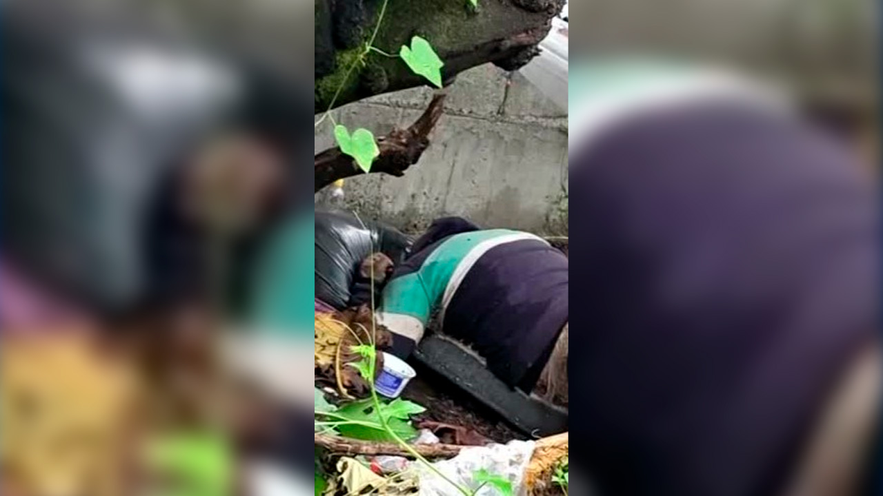 Álvaro Obregón: Encuentran cuerpo de un hombre en descomposición en Lomas de Tarango