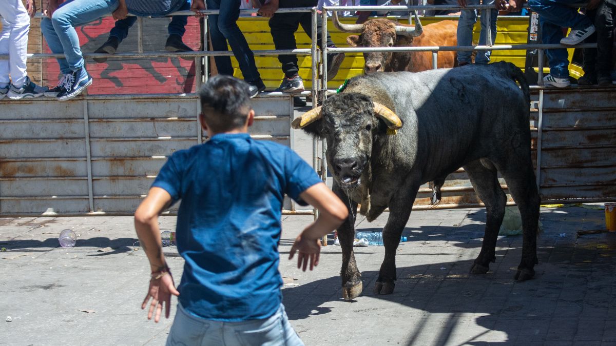 La Huamantlada es un tradicional festejo taurino inspirado en la pamplonada española |