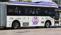 Mi Macro busca conductores en Guadalajara | Gobierno de Guadalajara