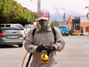 Las campañas también invitan a eliminar criadreos en casa. | Secretaría de Salud Jalisco