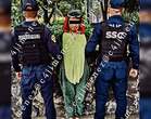 Detienen a hombre con mameluco de dinosauro por asalto con arma blanca en la Álvaro Obregón, CdMx. | C4 Carlos Jiménez