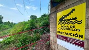 Las interacciones entre cocodrilos y seres humanos son cada vez mayores. | Dirección de Sostenibilidad Ambiental de Puerto Vallarta