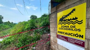 Las interacciones entre cocodrilos y seres humanos son cada vez mayores. | Dirección de Sostenibilidad Ambiental de Puerto Vallarta