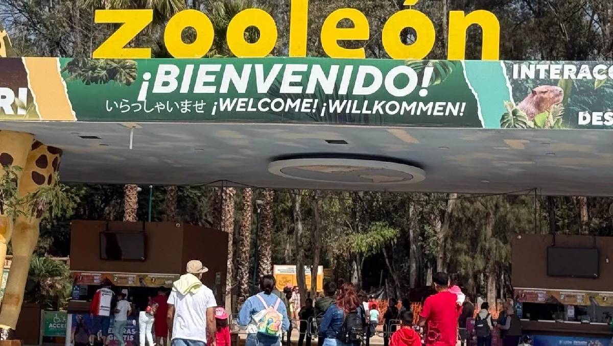 La afluencia de público tuvo un repunte en el mes de junio de 2026