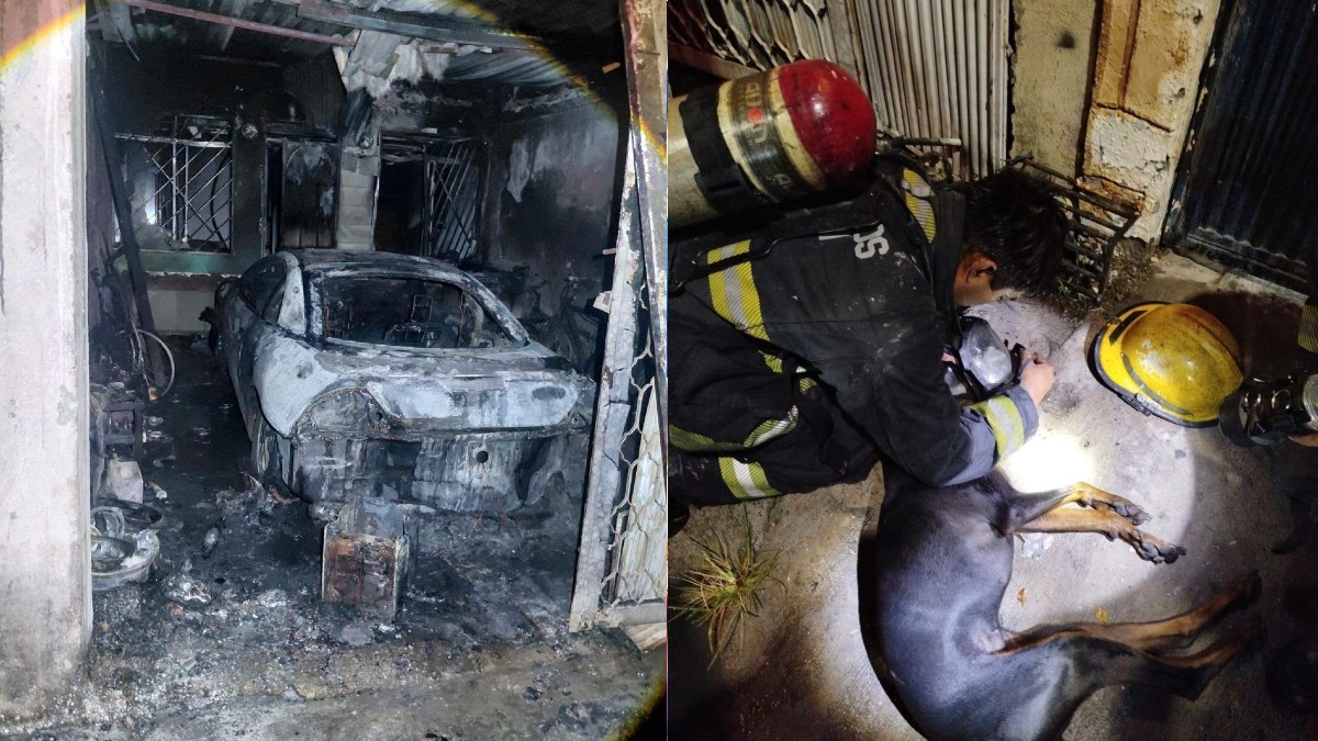 Fue durante esta inspección que los bomberos localizaron al perrito de la familia.