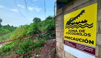Las interacciones entre cocodrilos y seres humanos son cada vez mayores. | Dirección de Sostenibilidad Ambiental de Puerto Vallarta