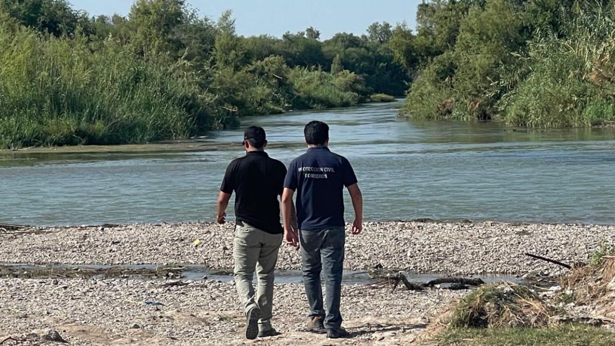 Las autoridades instan a los ciudadanos a no acercarse a las márgenes del río ni intentar interactuar con el animal.
