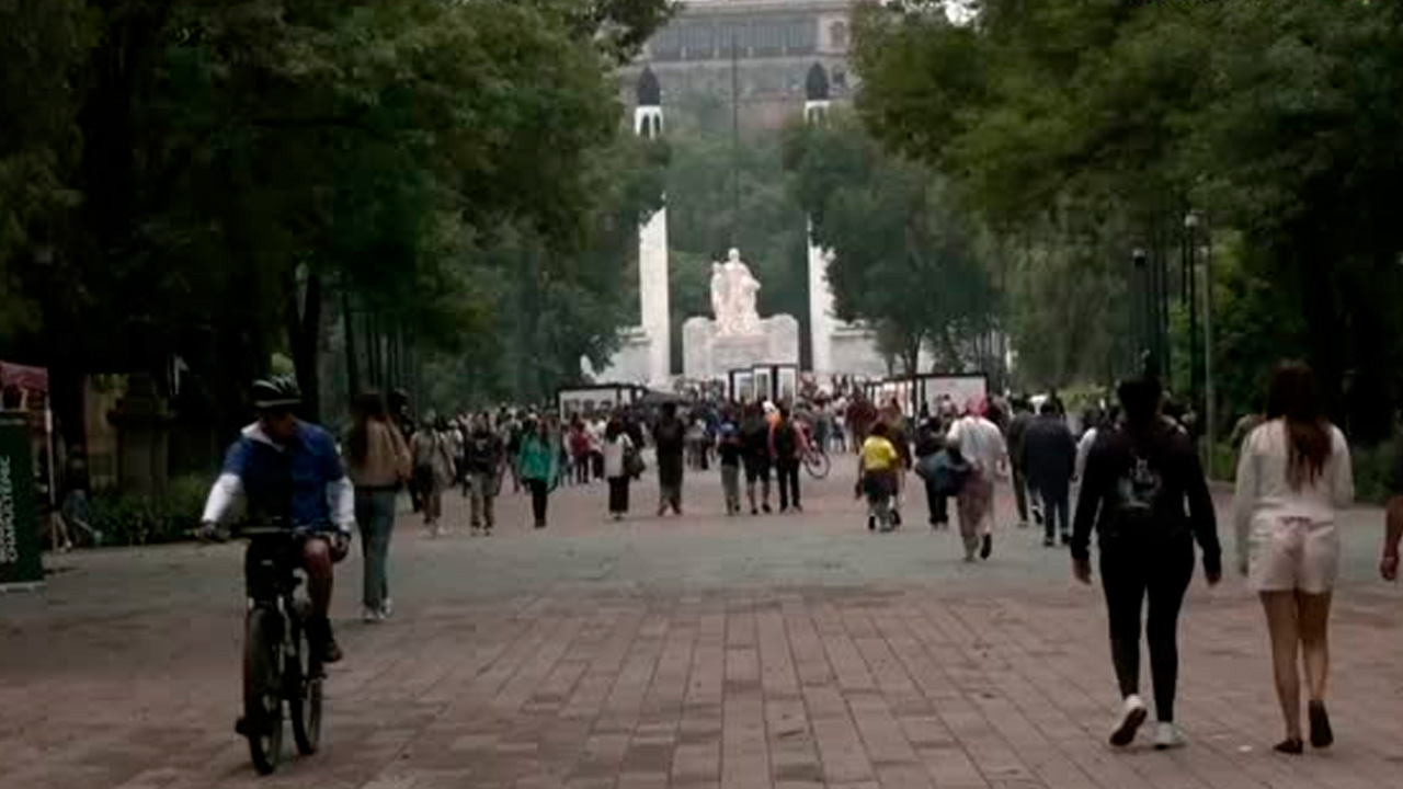 Chapultepec reduce 70% los delitos en siete años; robos siguen como principal riesgo