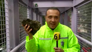 Reportero de TELEDIARIO sufre ataque con piedra desde puente en la GAM