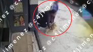 Captan a mujer robando un perro con su hija en la GAM. TD Vespertino CdMx, 25 de agosto 2026