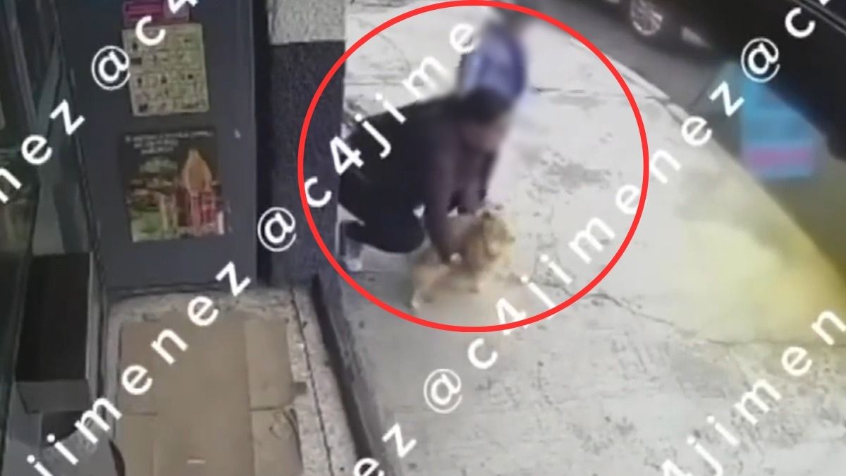 Captan en VIDEO a mujer y su hija robando a un perro en la colonia Río Blanco, en la GAM.