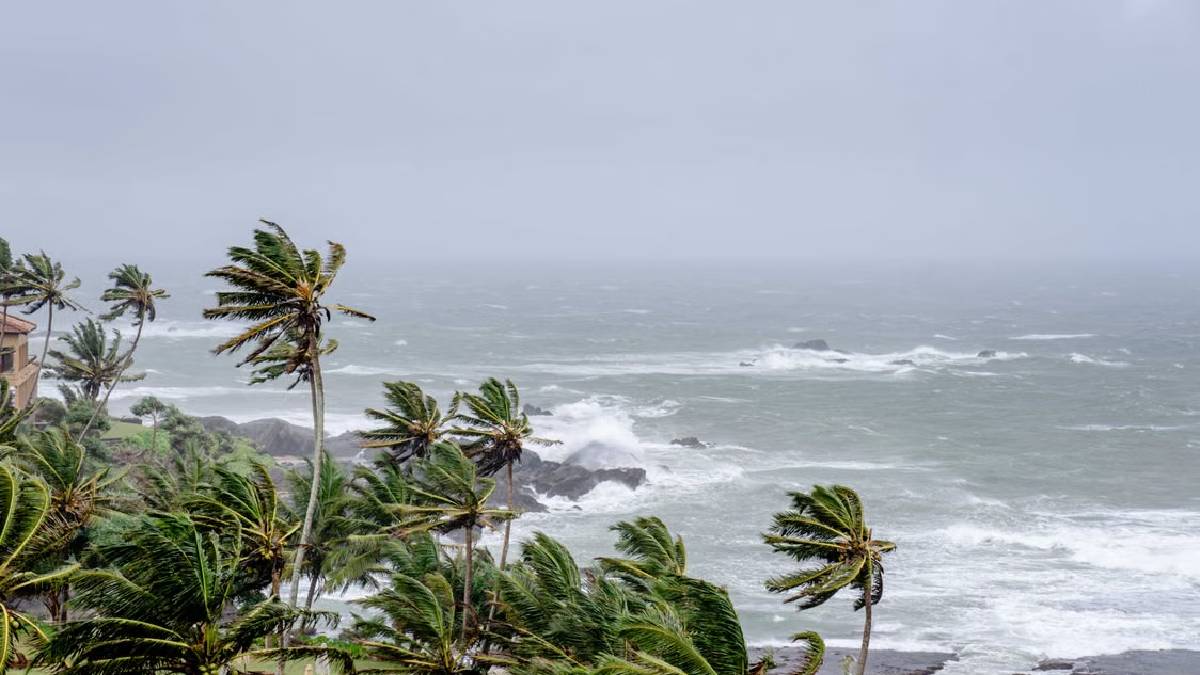 Una depresión tropical es un sistema de baja presión organizado sobre aguas tropicales cálida/ Pexels