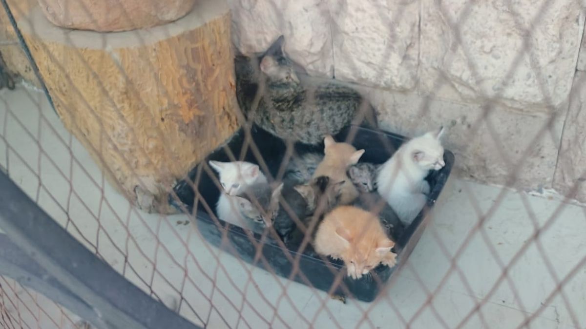 Los habitantes de la casa se encontraban durmiendo cuando comenzó el fuego.