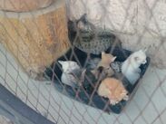 Los habitantes de la casa se encontraban durmiendo cuando comenzó el fuego.
