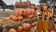Pumpkin Dash regresa a Monterrey con el festival de calabazas 2026