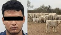 Acusan a joven de robar 46 cabezas de ganado valuadas en más de 2 mdp
