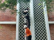 Las primeras indagatorias apuntan a que la tragedia pudo originarse por una falla técnica grave.