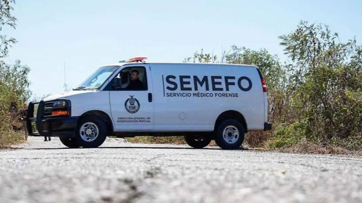 El automóvil proyectó al infante una distancia de aproximadamente 15 metros sobre la cinta asfáltica, dejándolo con lesiones críticas.