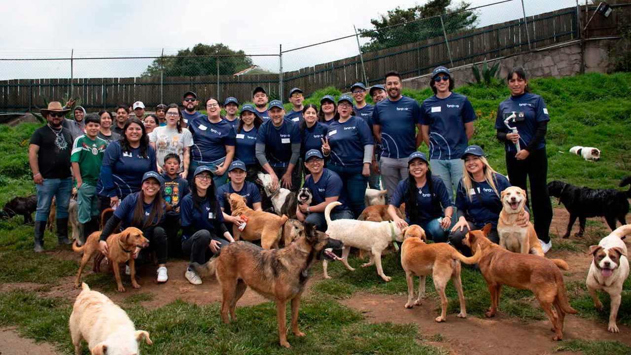 Bravo y Adopta MX equipan consultorio para 200 perros rescatados