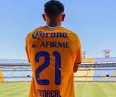 El Club Tigres oficializó a través de sus canales digitales la incorporación del atacante mexicano Ricardo Monreal para el torneo Apertura 2026.