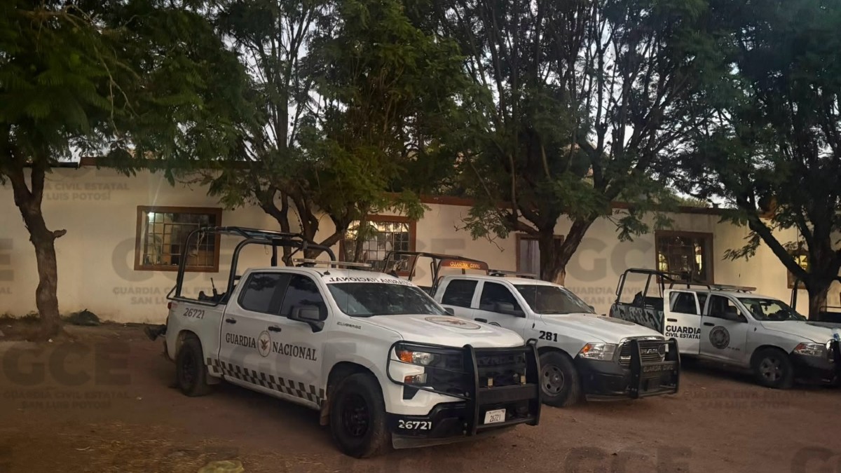 Los 11 detenidos, junto con el arma, las presuntas drogas y el resto de los objetos asegurados, fueron puestos a disposición.