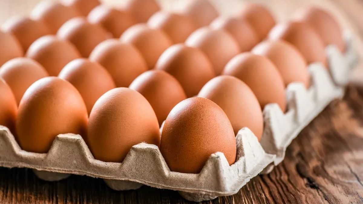 Guardarlos en su cartón evita fisuras en la cáscara, que actúa como barrera natural contra bacterias