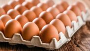 Guardarlos en su cartón evita fisuras en la cáscara, que actúa como barrera natural contra bacterias