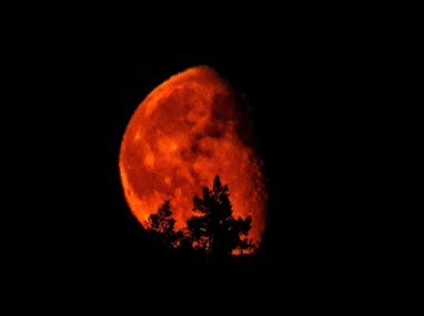 México podrá ser testigo de la famosa 'Luna de Sangre' | Pexels
