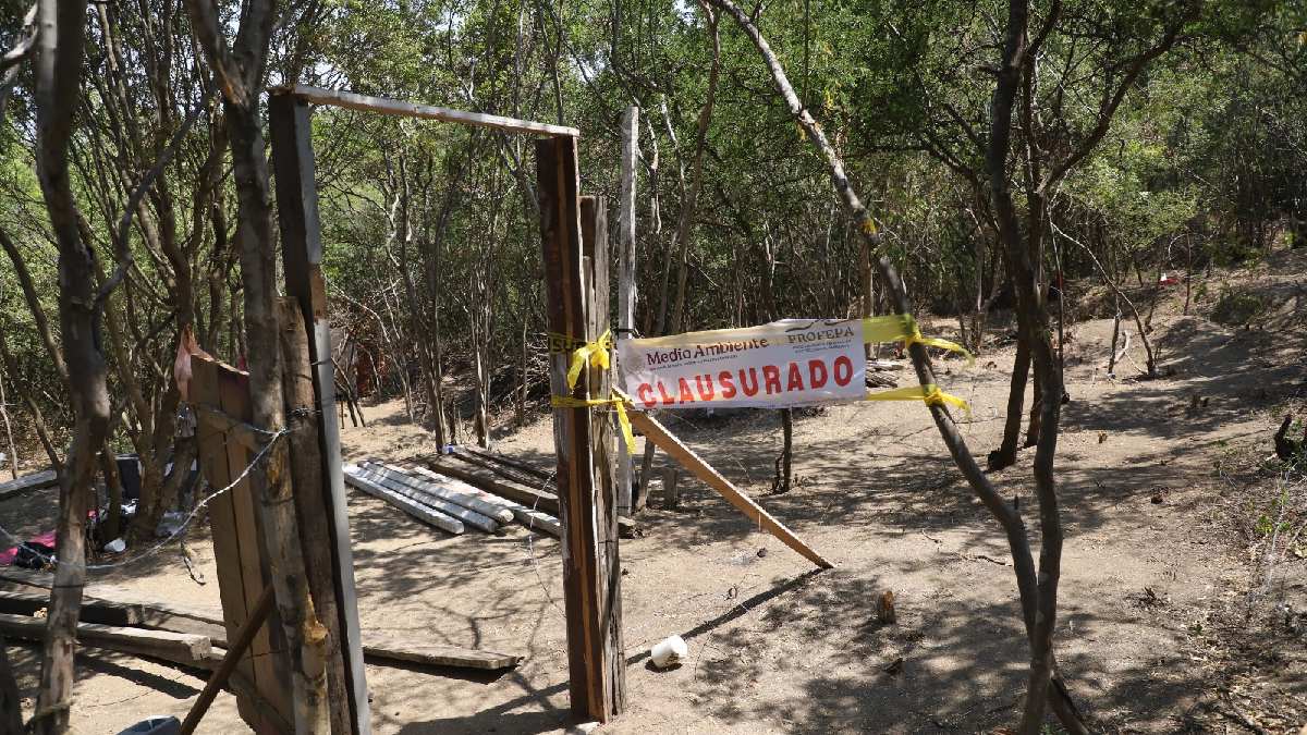 Desde hace algunas semanas llegaron posesionarios a invadir el predio