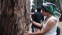 La síndica municipal indicó que la donación es legal al hacerse bajo el marco de la Ley Orgánica Municipal / Agencia Es Imagen