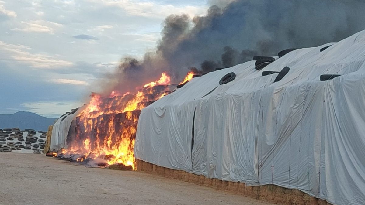 Una enorme columna de humo visible a kilómetros alertó a los habitantes y movilizó al departamento de Bomberos y Protección Civil.