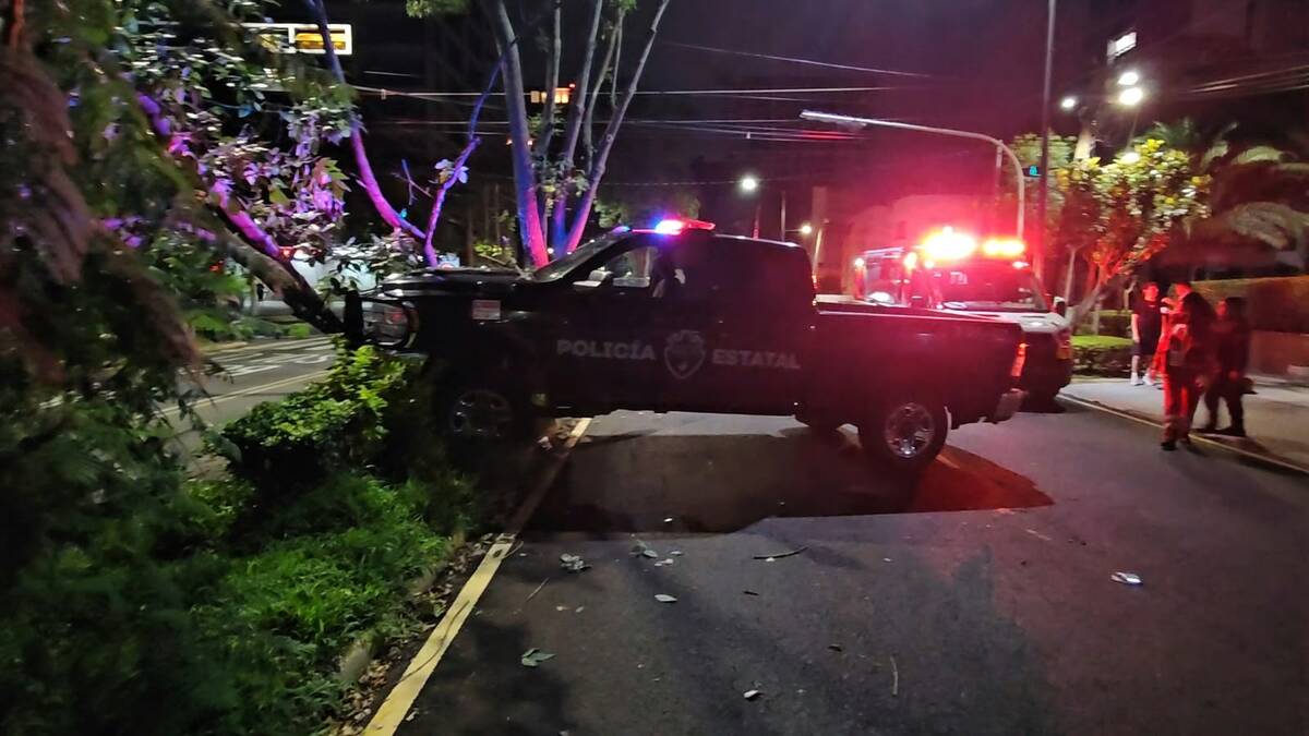 La unidad oficial terminó impactada contra un árbol.
