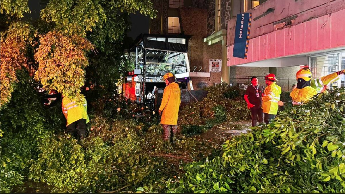 Una de las afectaciones más notorias fue la caída de un árbol inmenso en la Av. Chapultepec.