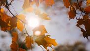 El comienzo del otoño es la época del año en que la duración del día se acorta más rápidament/ Pexels