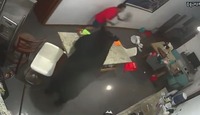 El hombre intentó ahuyentarlo con una escoba